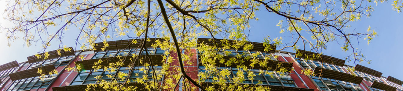 世俱杯官方平台